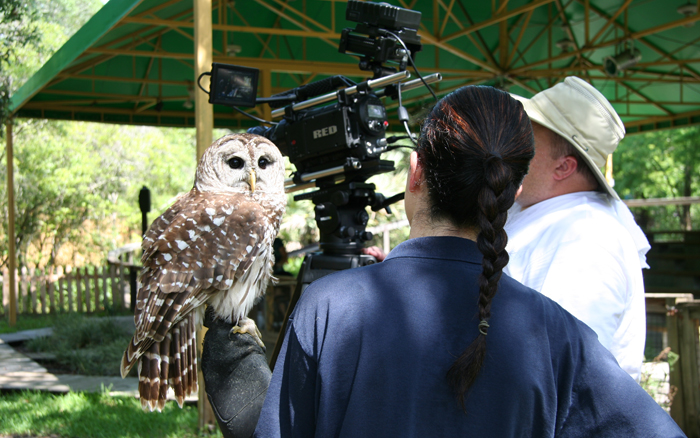 Behind the scenes access to Tampa's Lowry Park Zoo