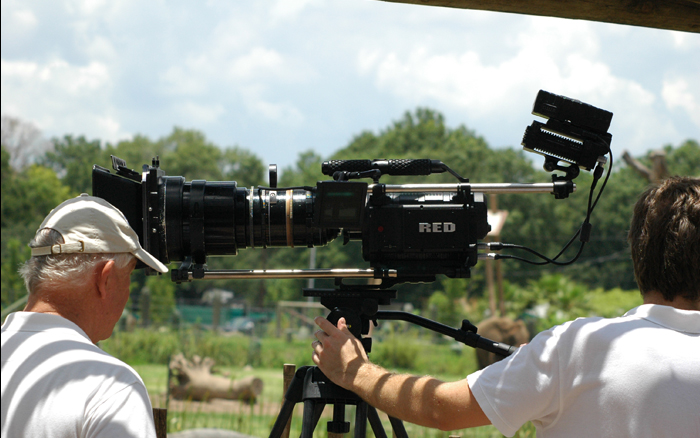 Behind the scenes access to Tampa's Lowry Park Zoo