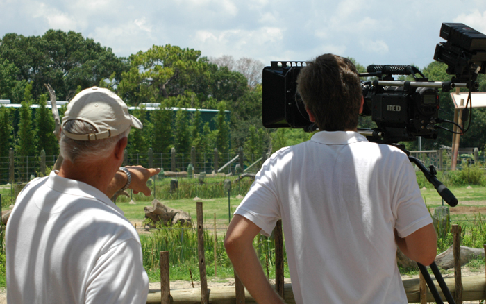 Behind the scenes access to Tampa's Lowry Park Zoo