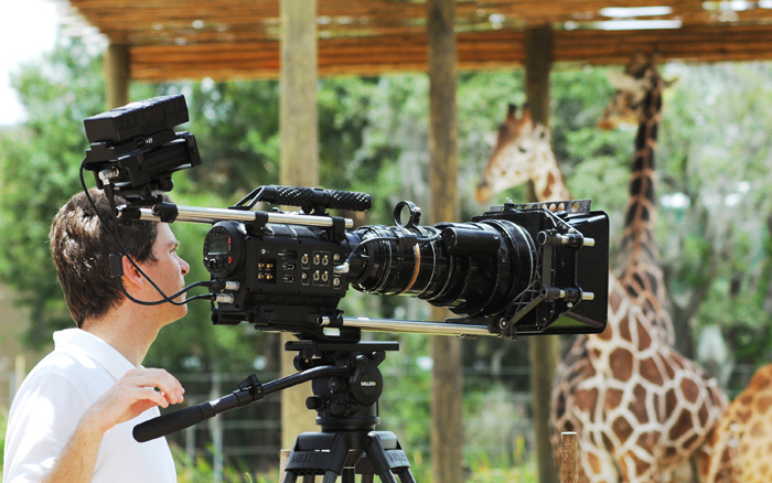 Behind the scenes access to Tampa's Lowry Park Zoo