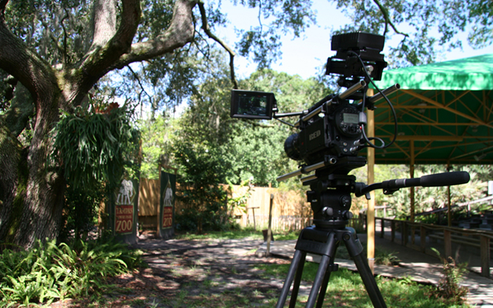 Behind the scenes access to Tampa's Lowry Park Zoo