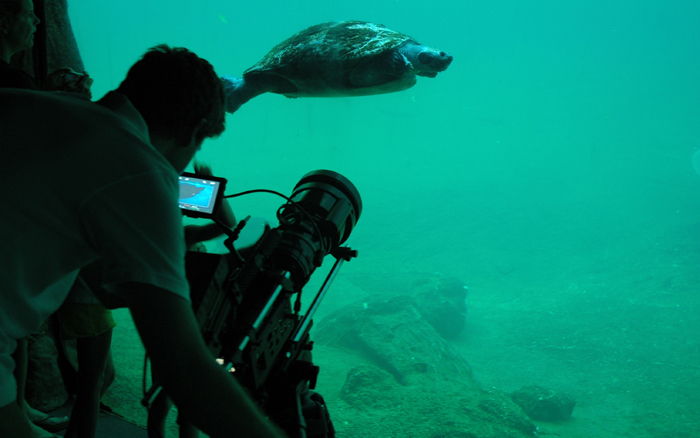 Behind the scenes access to Tampa's Lowry Park Zoo